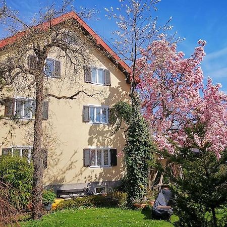 70Qm 3-Zimmer Apartment Am Tauernradweg In Hallein Bei Salzburg, Nahe Berchtesgaden, Rossfeld, Kehlsteinhaus, Obersalzberg, Watzmann, Schoenau Am Koenigsee, Bad Vigaun, Schloss Hellbrunn, Burg Hohen Salzburg, Burg Hohen Werfen # Beherbergungsbetrieb Екстериор снимка