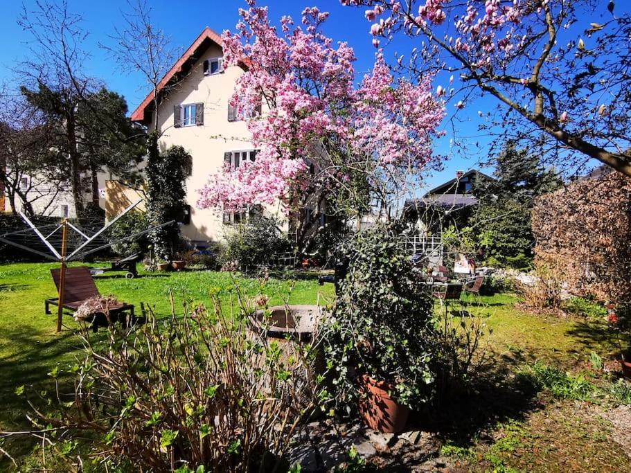 70Qm 3-Zimmer Apartment Am Tauernradweg In Hallein Bei Salzburg, Nahe Berchtesgaden, Rossfeld, Kehlsteinhaus, Obersalzberg, Watzmann, Schoenau Am Koenigsee, Bad Vigaun, Schloss Hellbrunn, Burg Hohen Salzburg, Burg Hohen Werfen # Beherbergungsbetrieb Екстериор снимка